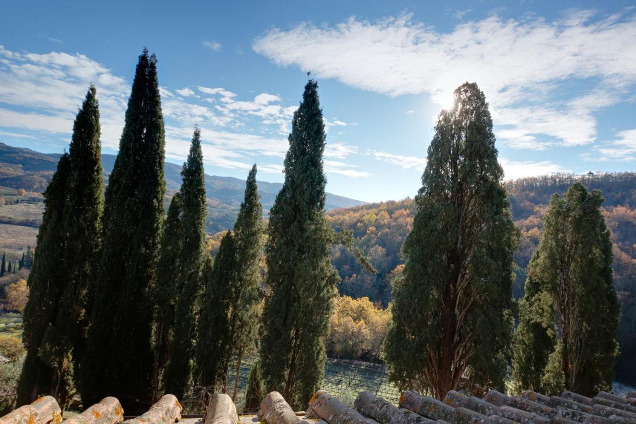 Bed and Breakfast Terre Di Baccio à Greve in Chianti Extérieur photo