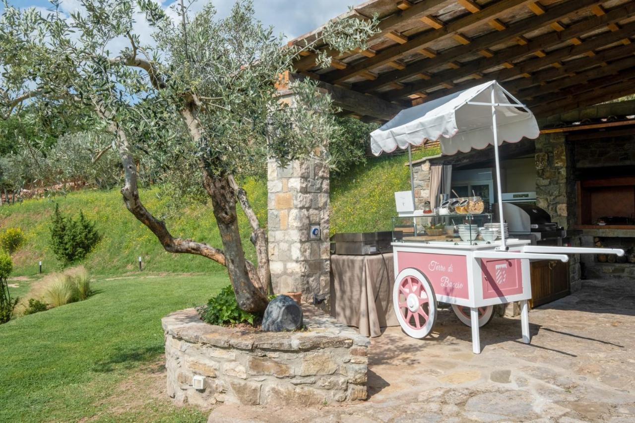 Bed and Breakfast Terre Di Baccio à Greve in Chianti Extérieur photo